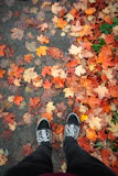 A pair of vantus casual sneakers resting on a wooden bench surrounded by autumn leaves