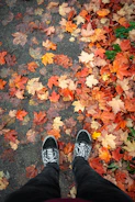 A pair of vantus casual sneakers resting on a wooden bench surrounded by autumn leaves