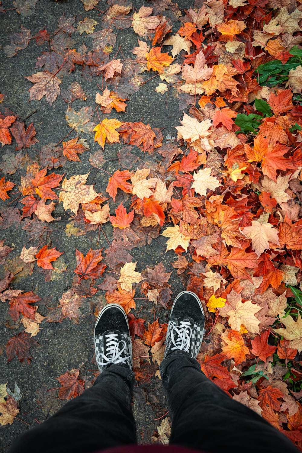 a person standing in front of a pile of leaves