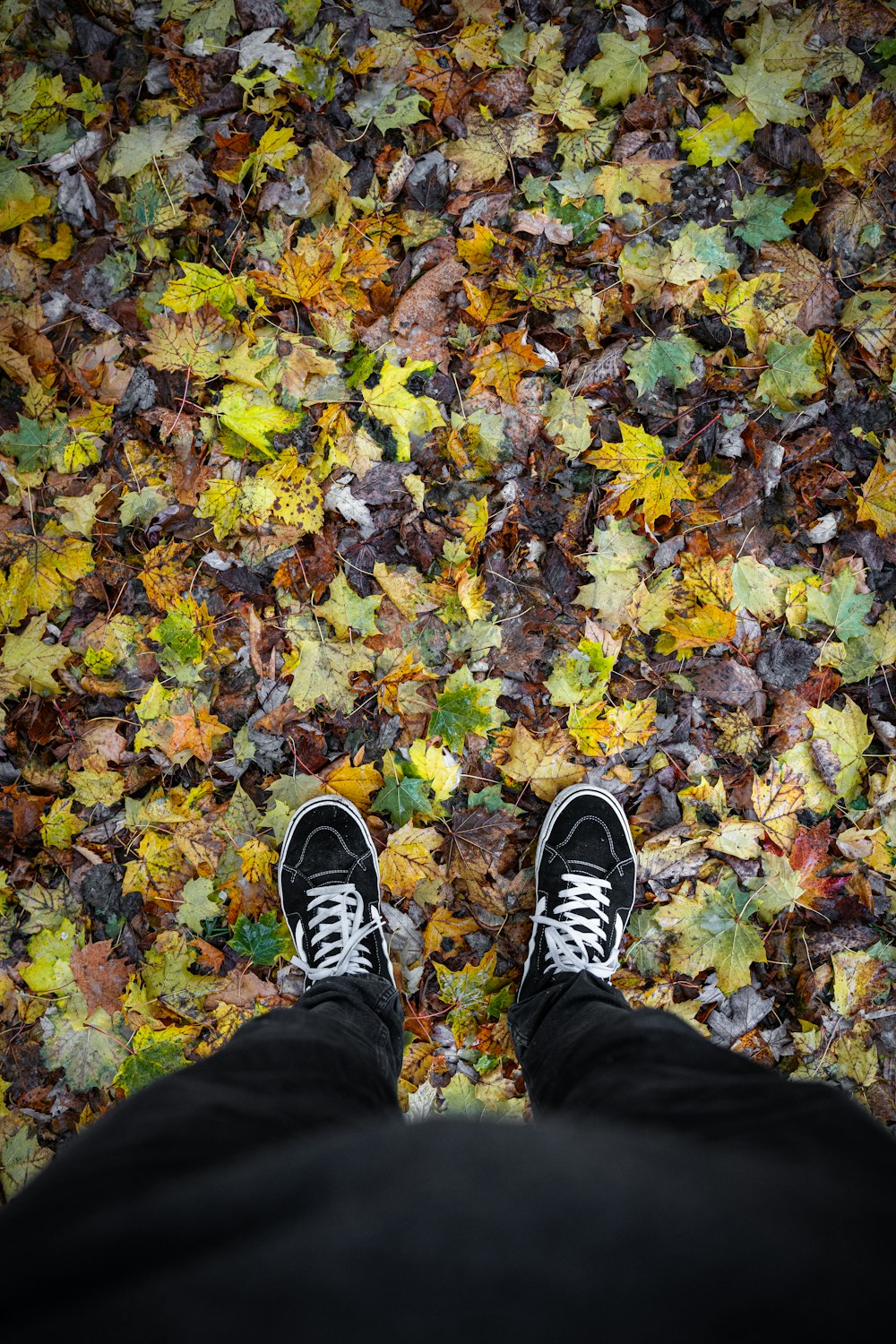 a person standing on a leaf covered ground