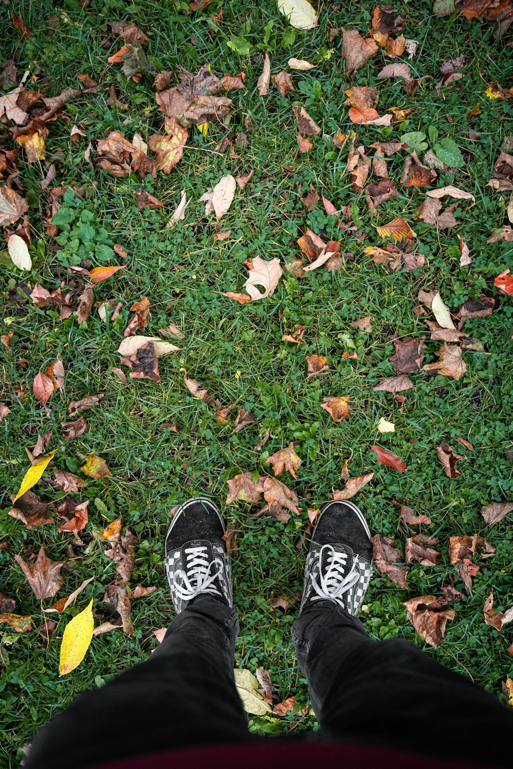 a person standing on top of a lush green field