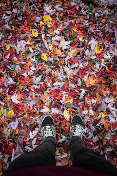 Close-up of feet in colorful sneakers walking on a gravel path with autumn leaves.
