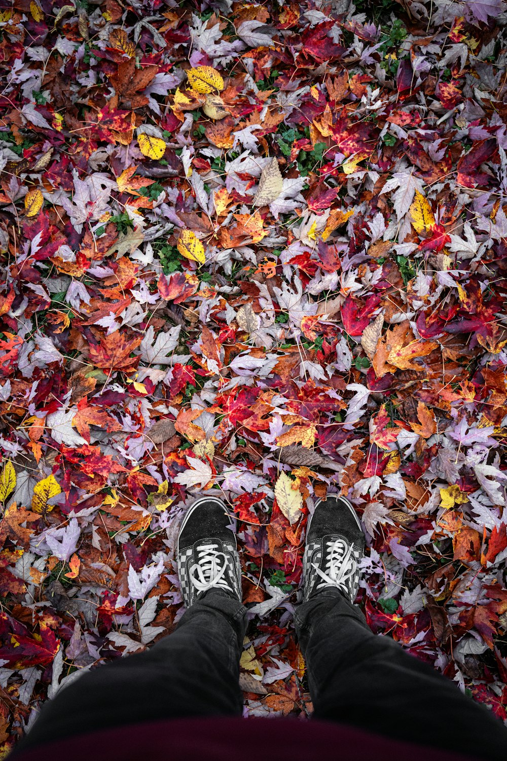 a person standing in front of a pile of leaves