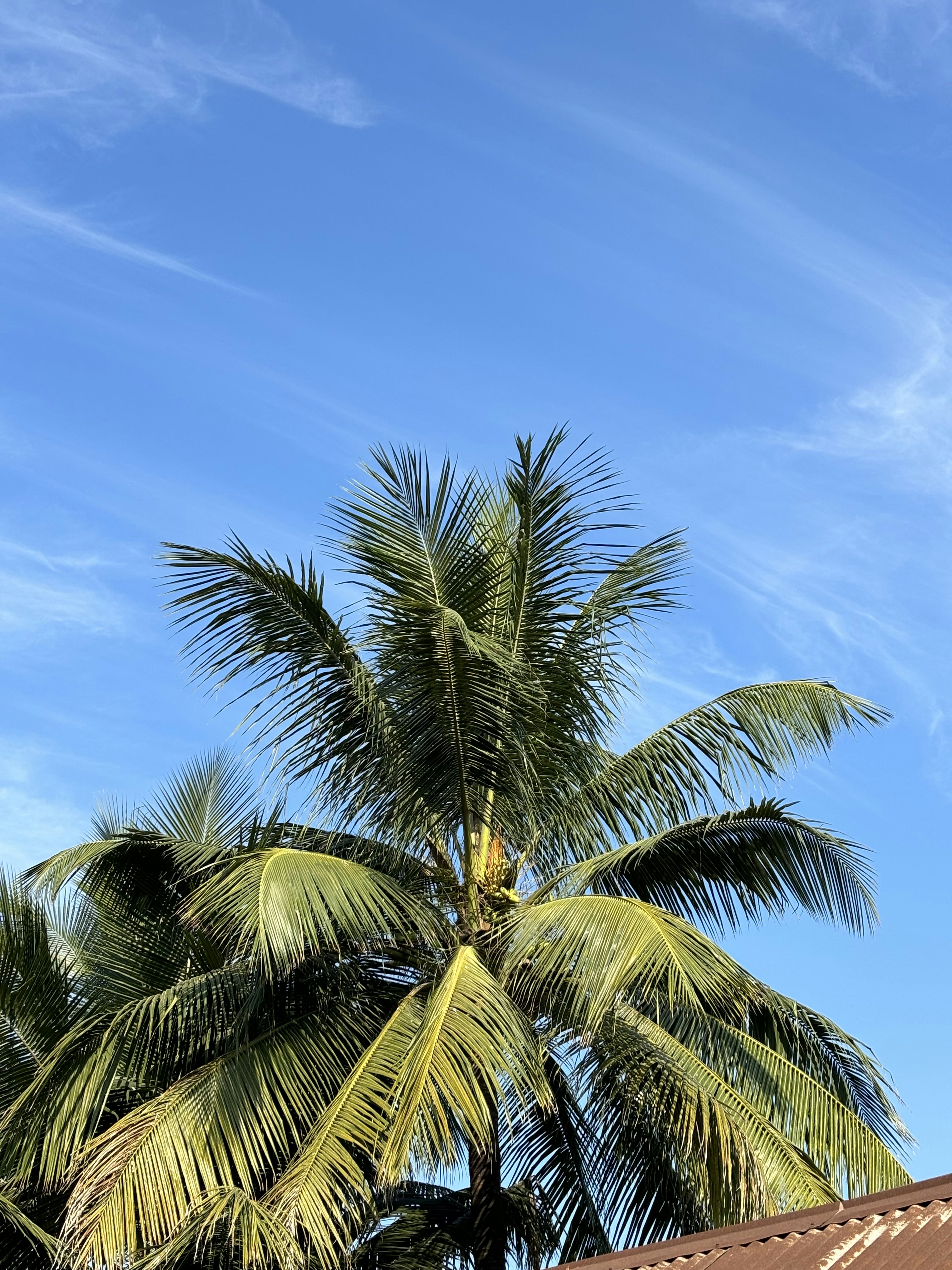 Photo by tobiburrahman