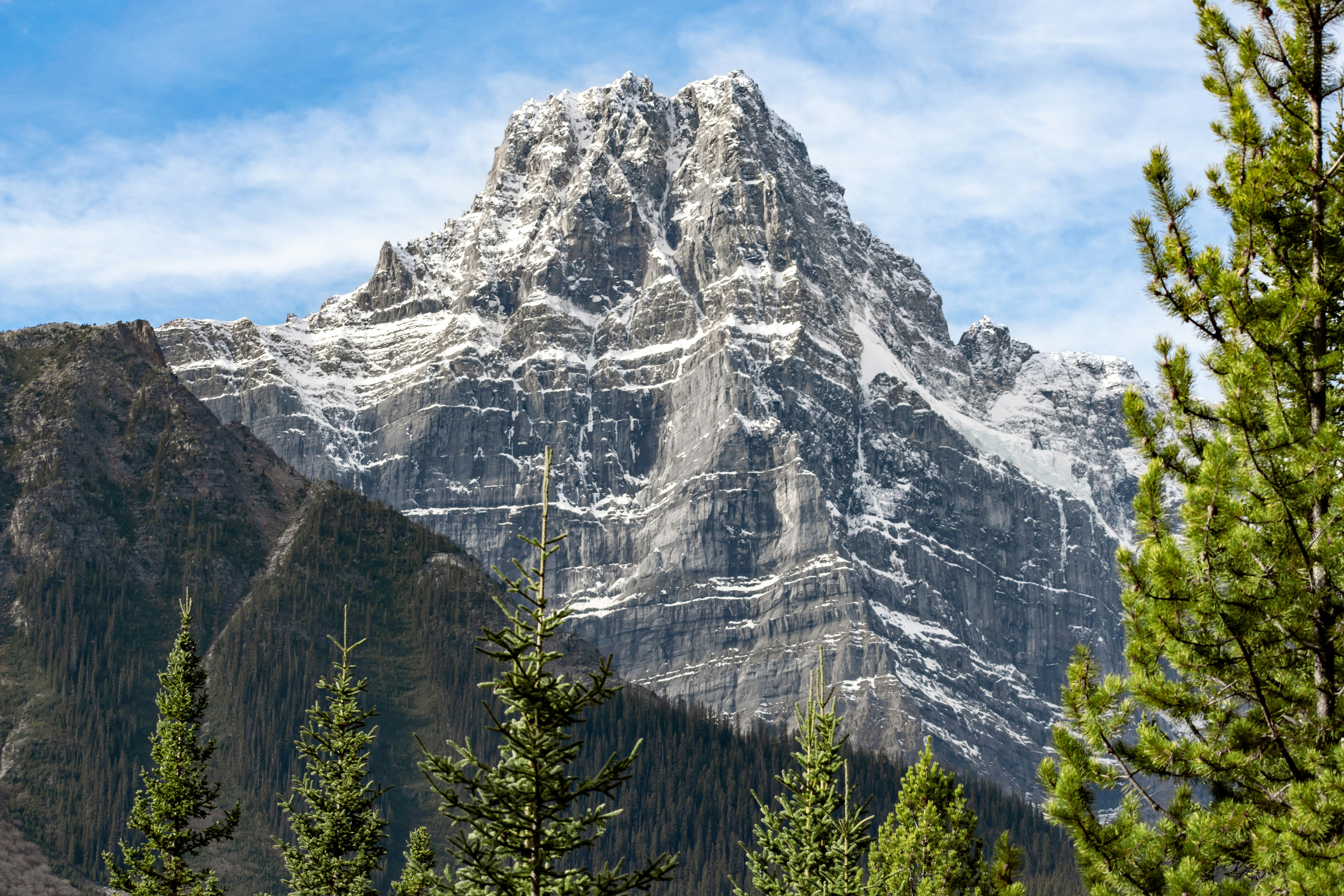 une montagne enneigée avec des arbres au premier plan