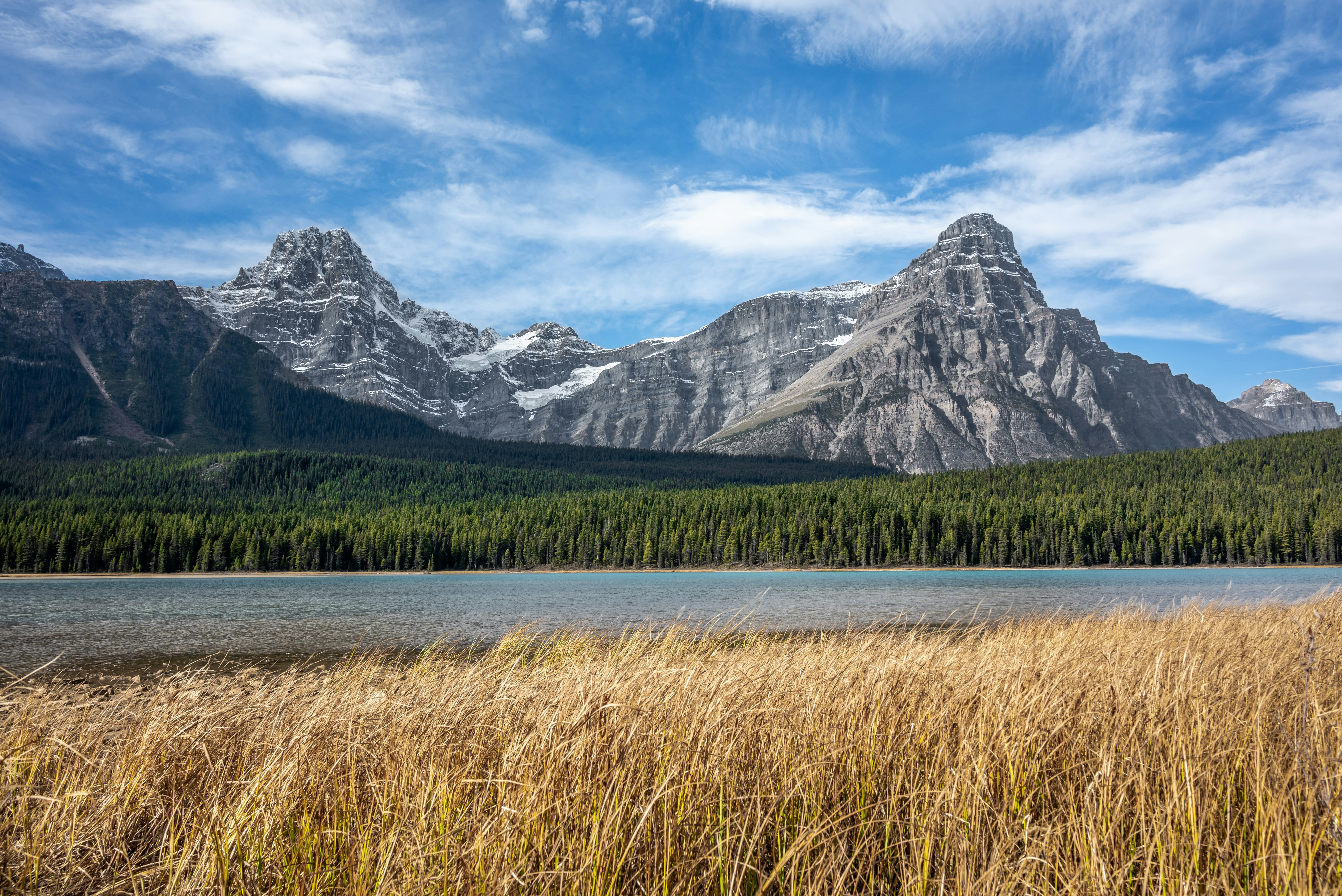 un lac entouré d’herbes hautes avec des montagnes en arrière-plan
