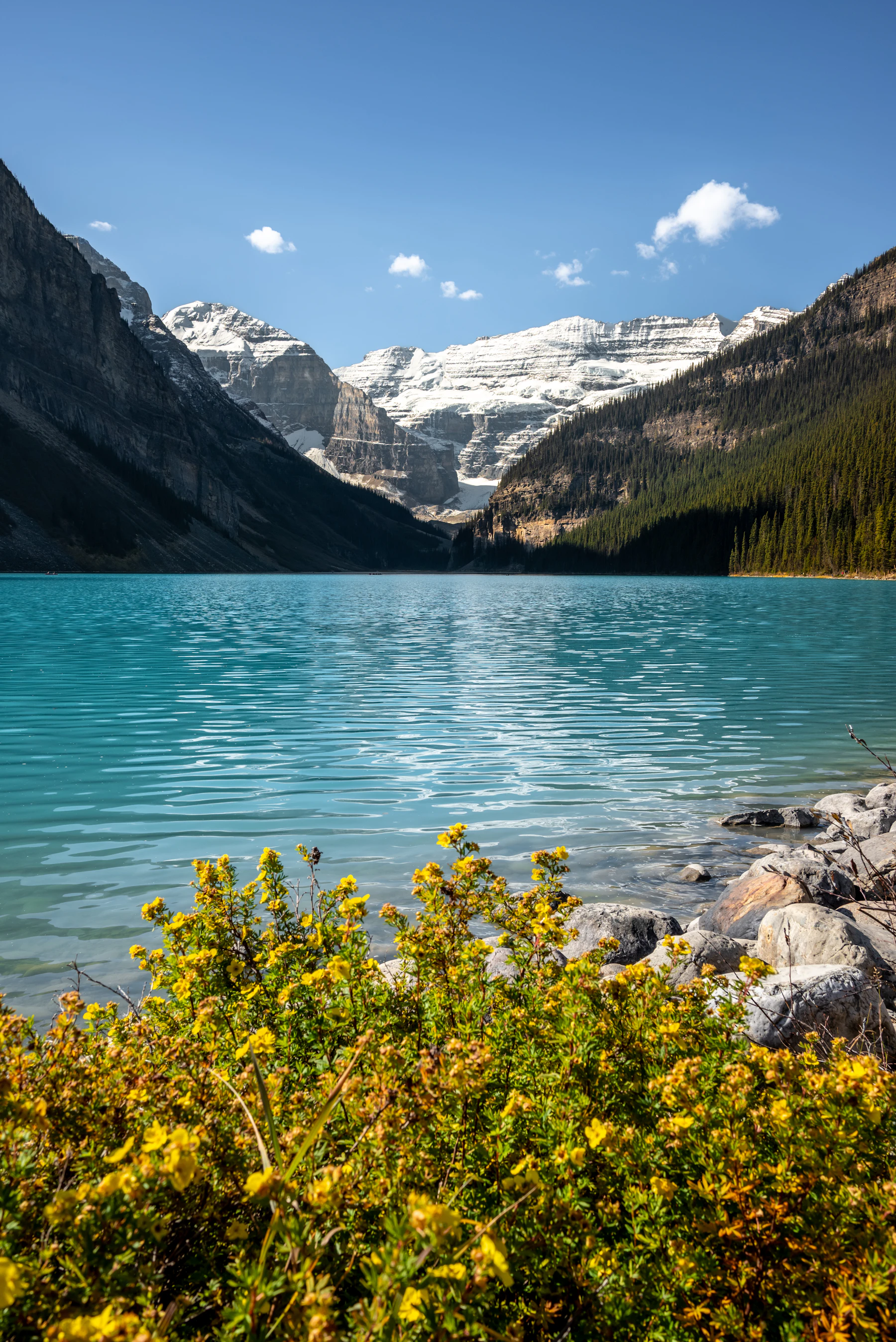 Lake Louise in the Canadian Rockies