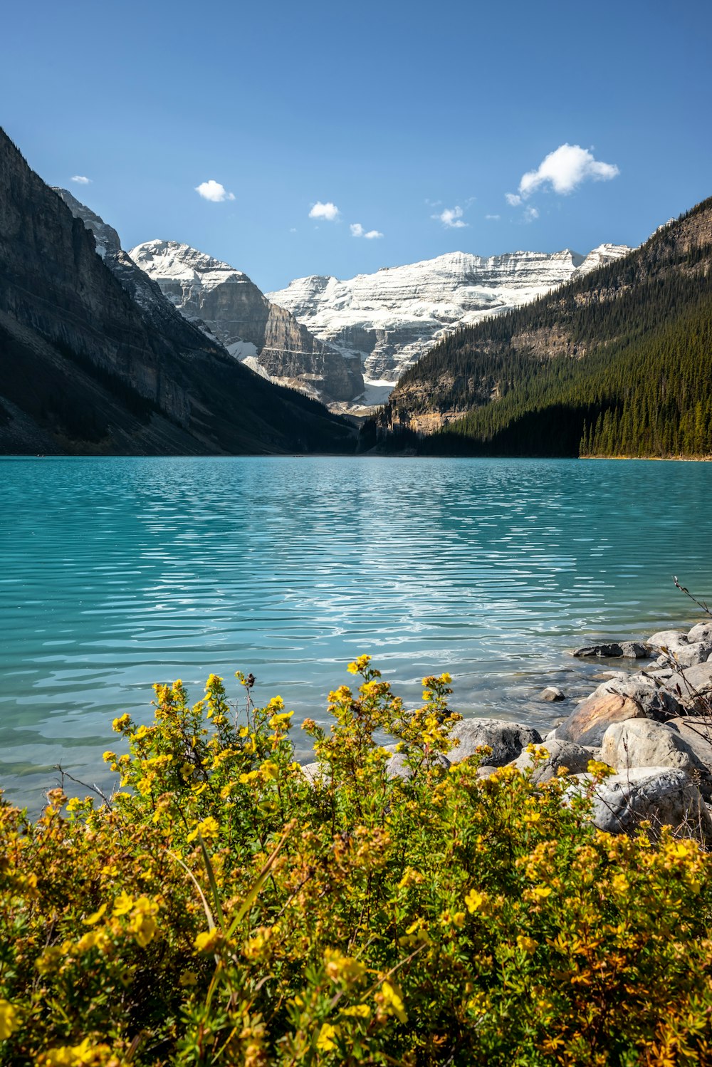 a lake surrounded by mountains and trees