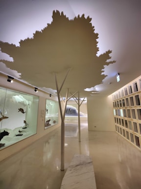 A modern interior space featuring minimalistic design elements. The ceiling is adorned with large cutouts resembling tree canopies, supported by columns shaped like tree trunks. Glass display cases on the left contain various taxidermy animals, while the right wall showcases a series of uniform, square compartments. The lighting is soft, and the floor is sleek and polished.