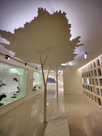 A modern interior space featuring minimalistic design elements. The ceiling is adorned with large cutouts resembling tree canopies, supported by columns shaped like tree trunks. Glass display cases on the left contain various taxidermy animals, while the right wall showcases a series of uniform, square compartments. The lighting is soft, and the floor is sleek and polished.