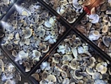 A collection of broken ceramic pieces featuring blue and white patterns, arranged in several transparent display cases. The ceramics appear to have floral and traditional designs and are illuminated by small spotlights, creating a reflective and intricate layout.