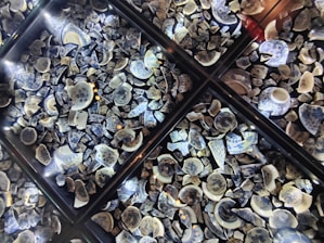 A collection of broken ceramic pieces featuring blue and white patterns, arranged in several transparent display cases. The ceramics appear to have floral and traditional designs and are illuminated by small spotlights, creating a reflective and intricate layout.