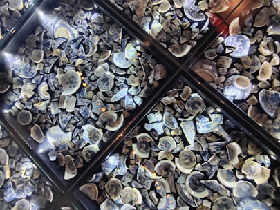 A collection of broken ceramic pieces featuring blue and white patterns, arranged in several transparent display cases. The ceramics appear to have floral and traditional designs and are illuminated by small spotlights, creating a reflective and intricate layout.