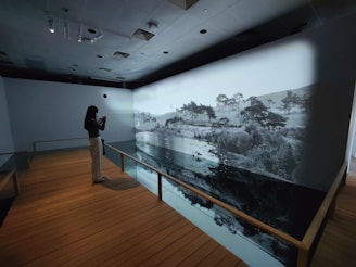 A person is standing in a dimly lit room with wooden flooring, observing a large wall projection of a scenic landscape. The projection depicts trees and water, and it appears in black and white. The person is holding a device, possibly taking a photo or video of the display.