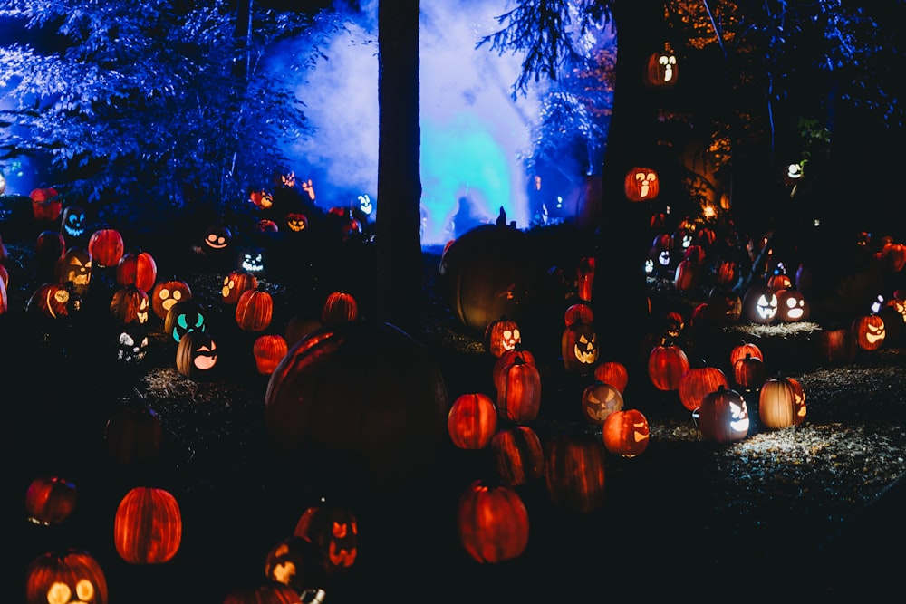 a lot of pumpkins that are on the ground