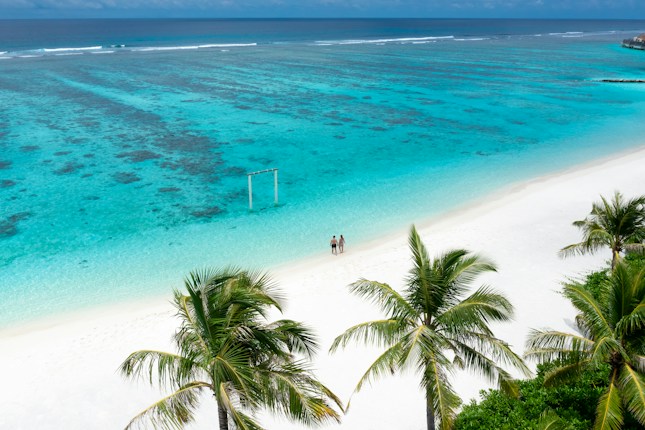 A serene beach scene with turquoise water, white sandy shores, and a couple walking along the coastline. Palm trees are in the foreground, and the ocean stretches out to the horizon under a blue sky.