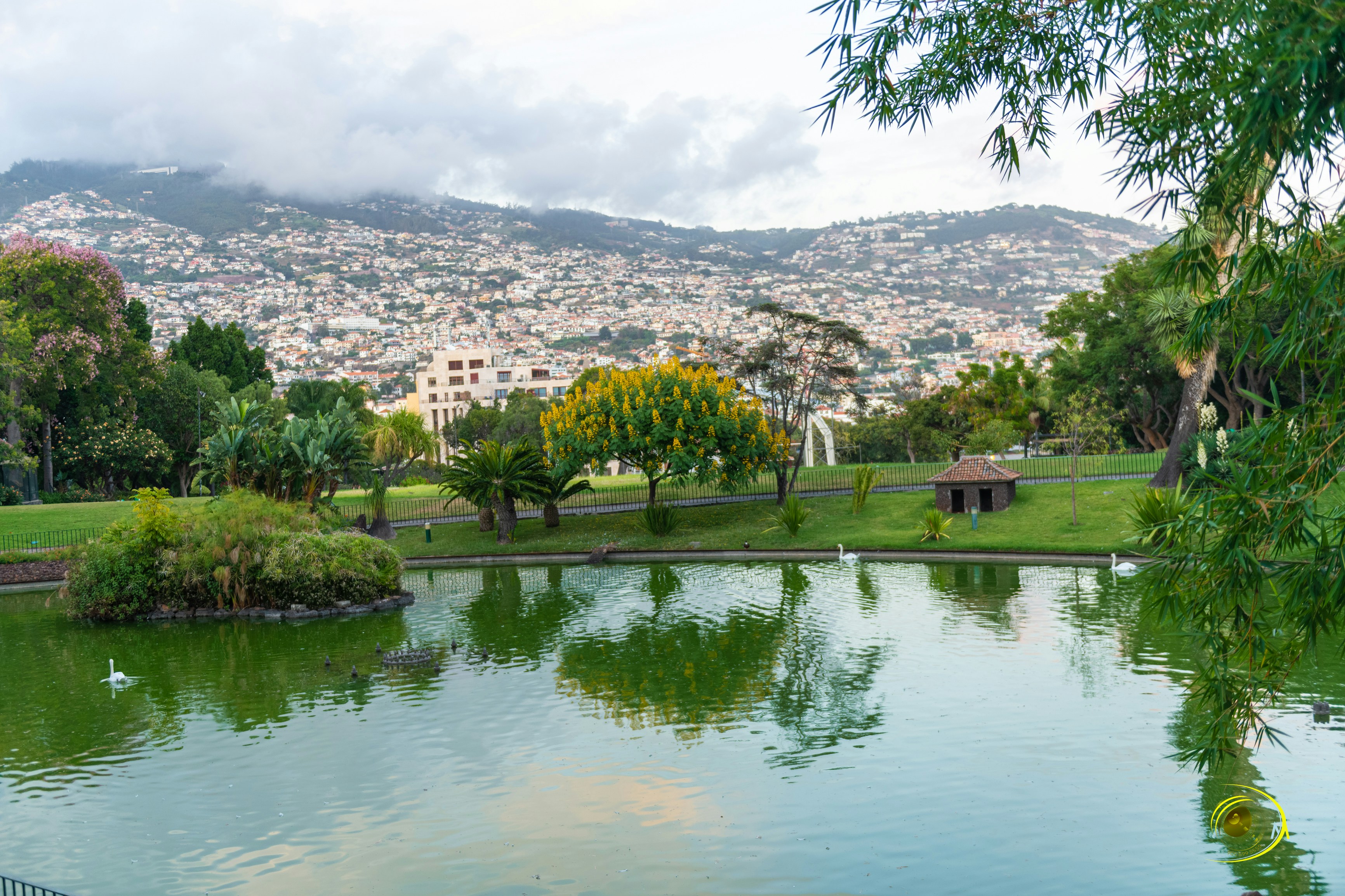 Photo by nikonprophoto