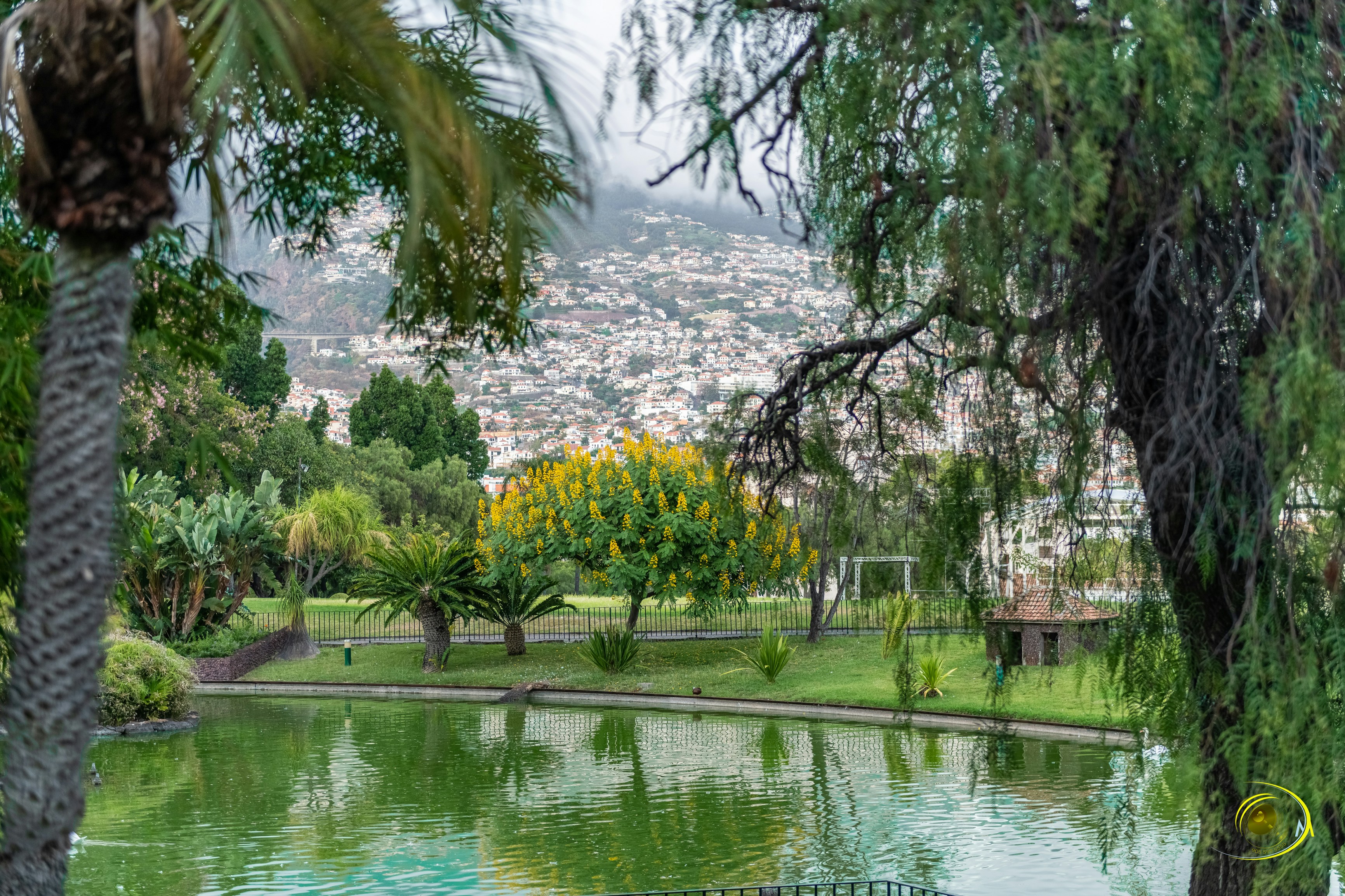 Photo by nikonprophoto