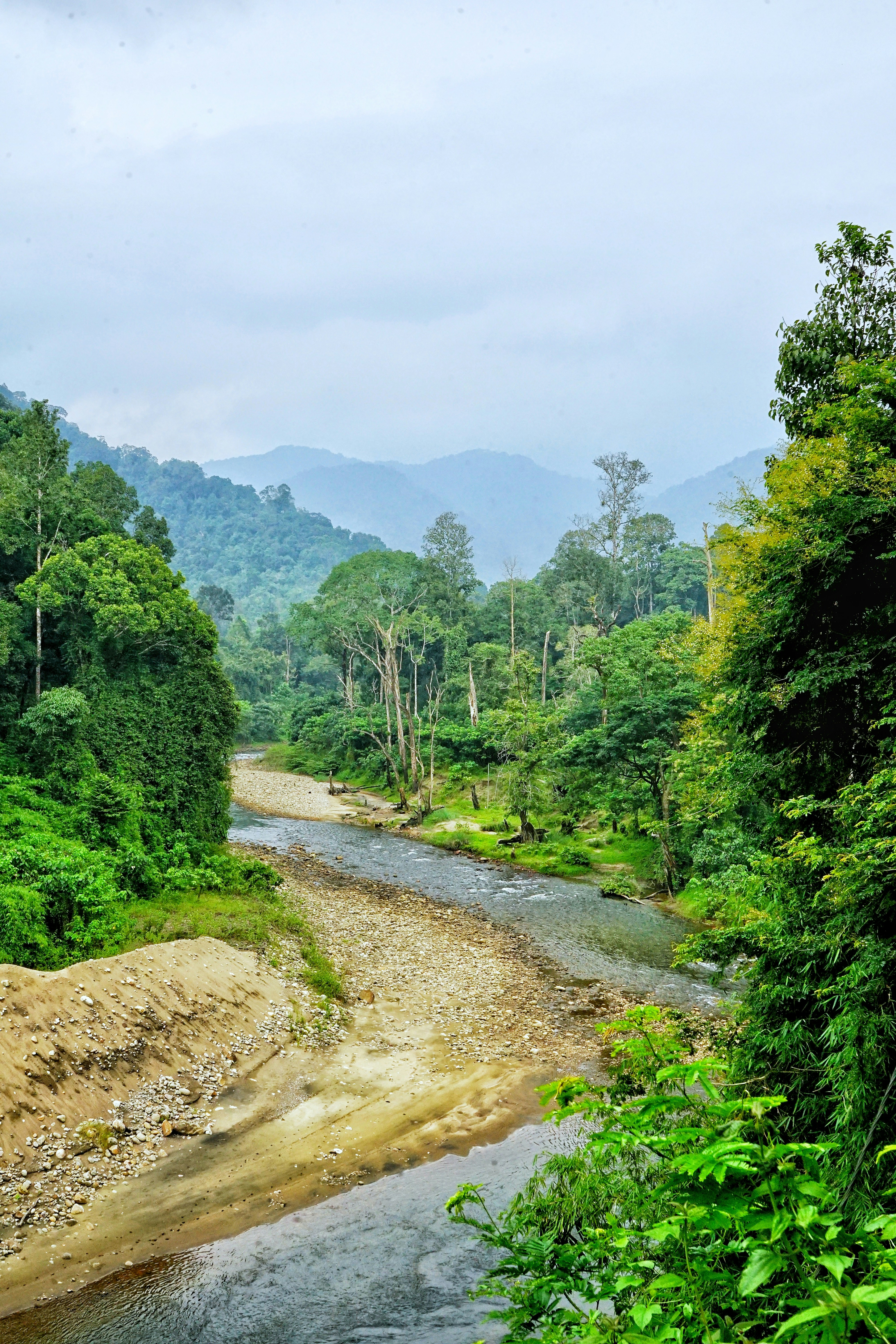 Photo by rohithmurali28