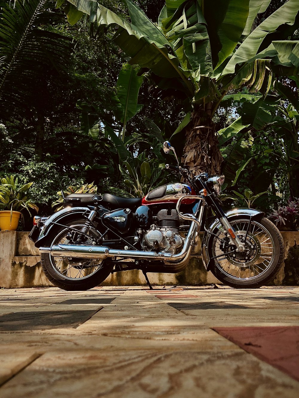 a motorcycle parked in front of a tree