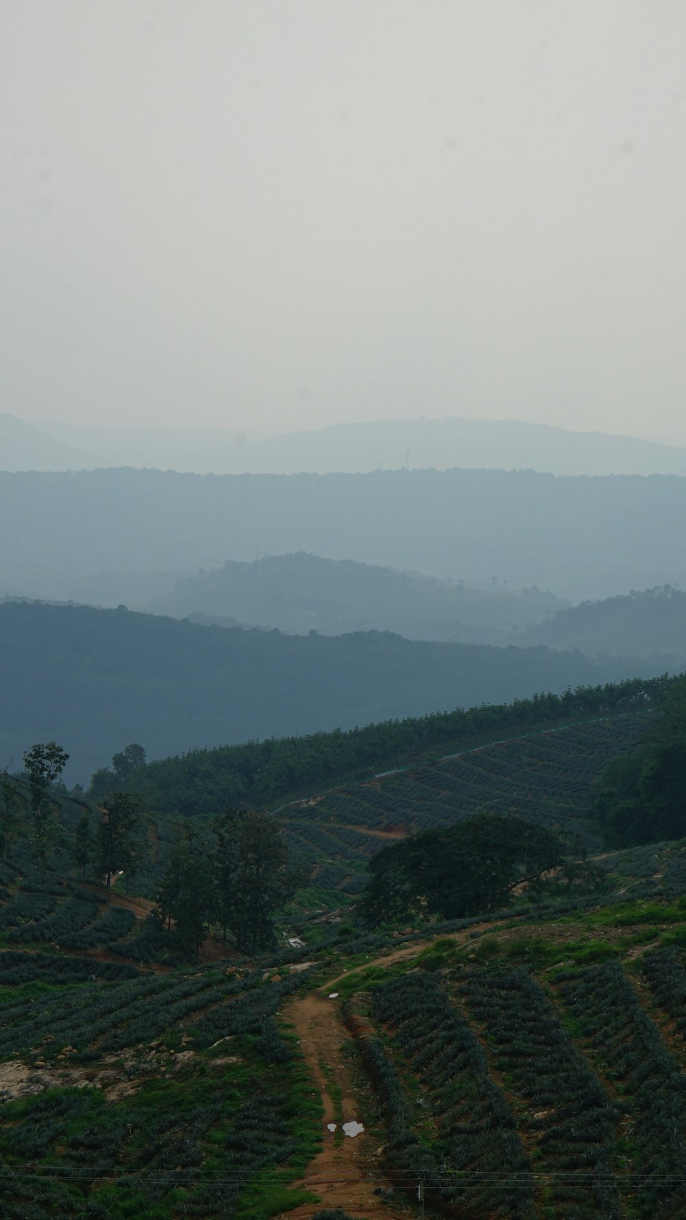 a view of a mountain range from a distance