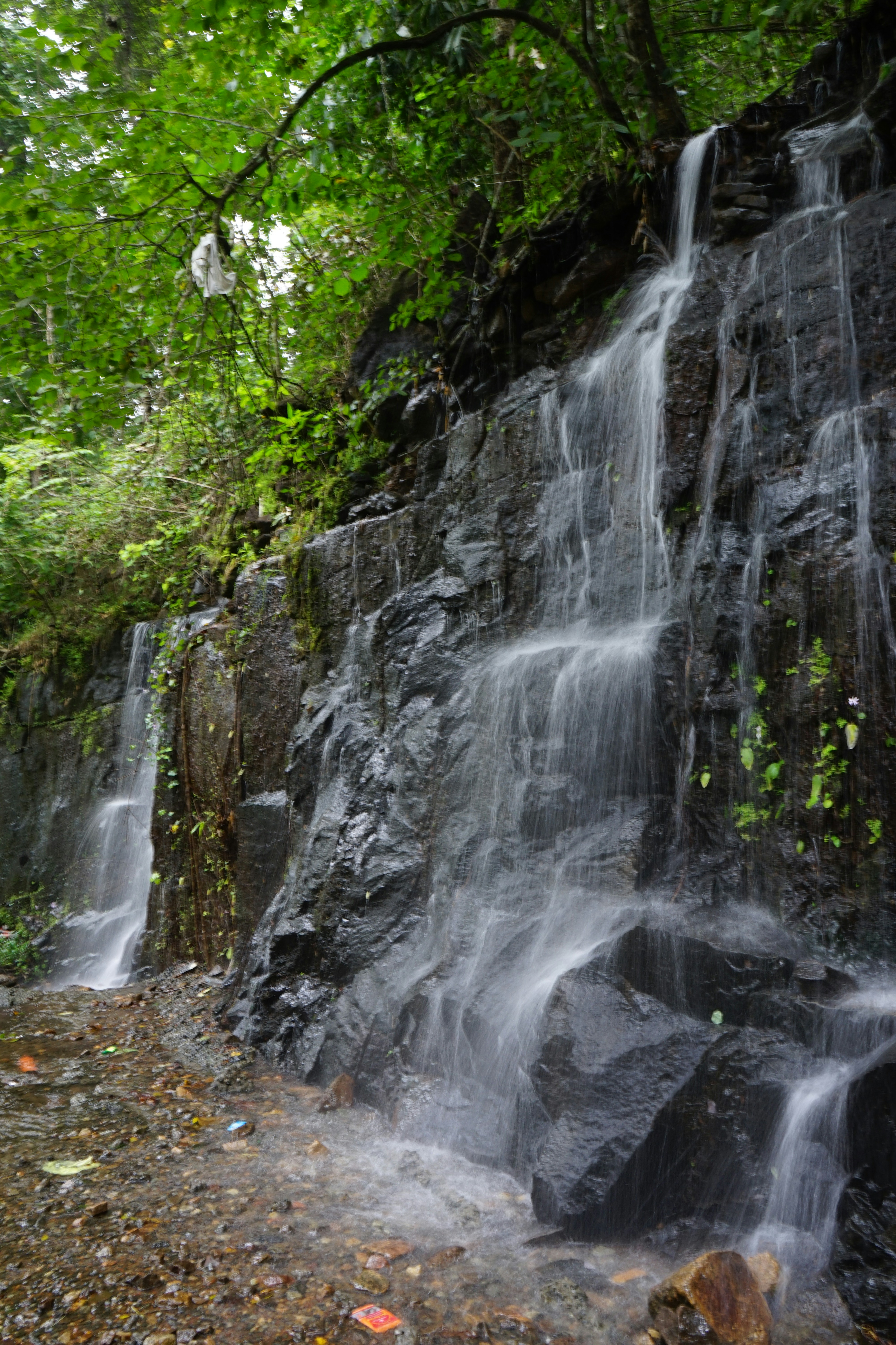 a waterfall in the middle of a forest