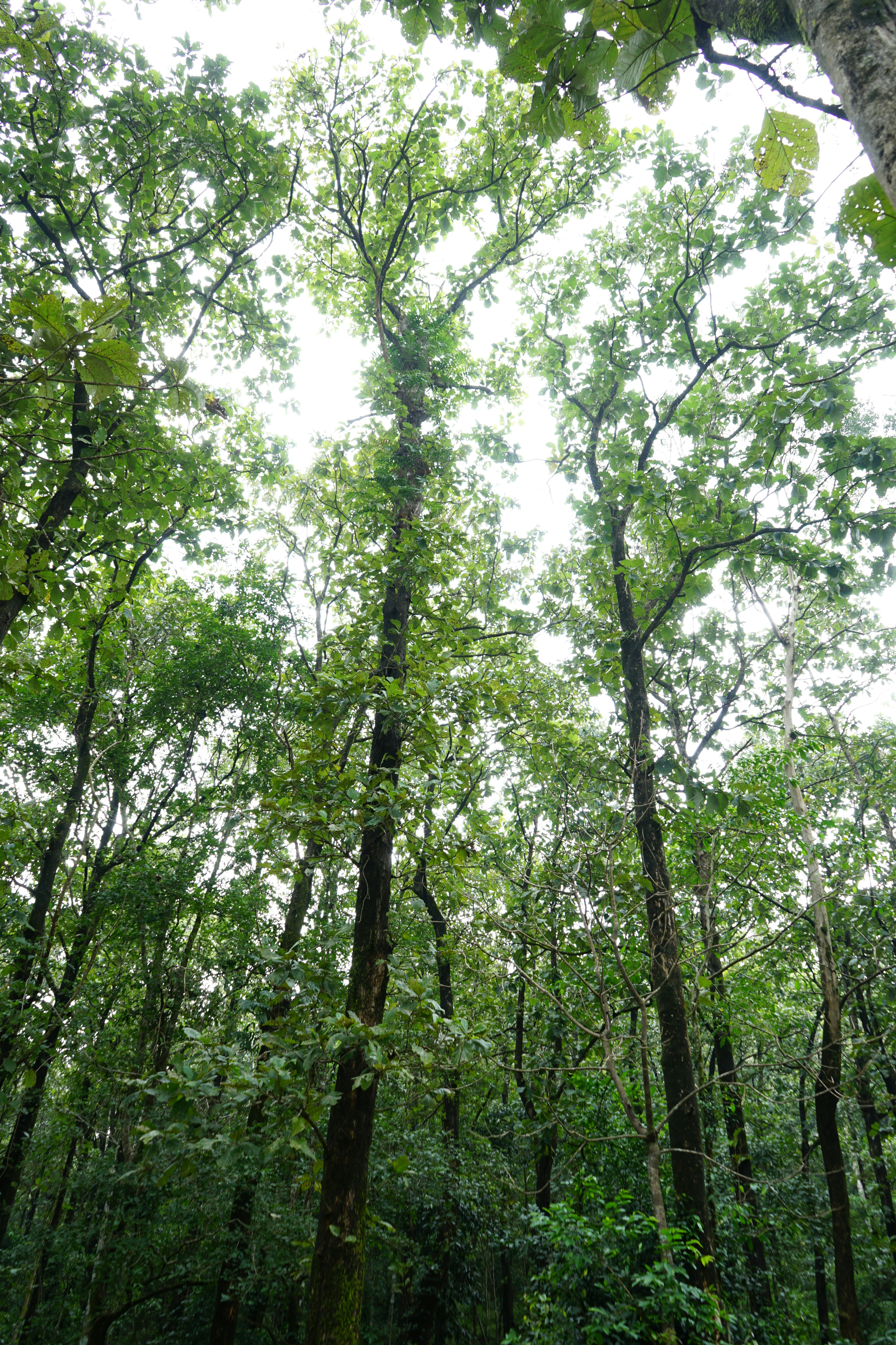 Photo by rohithmurali28