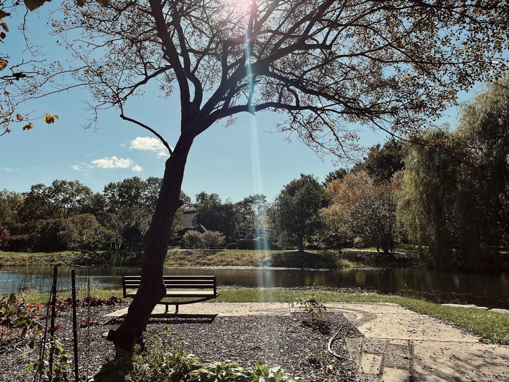 um banco de parque sentado ao lado de um lago