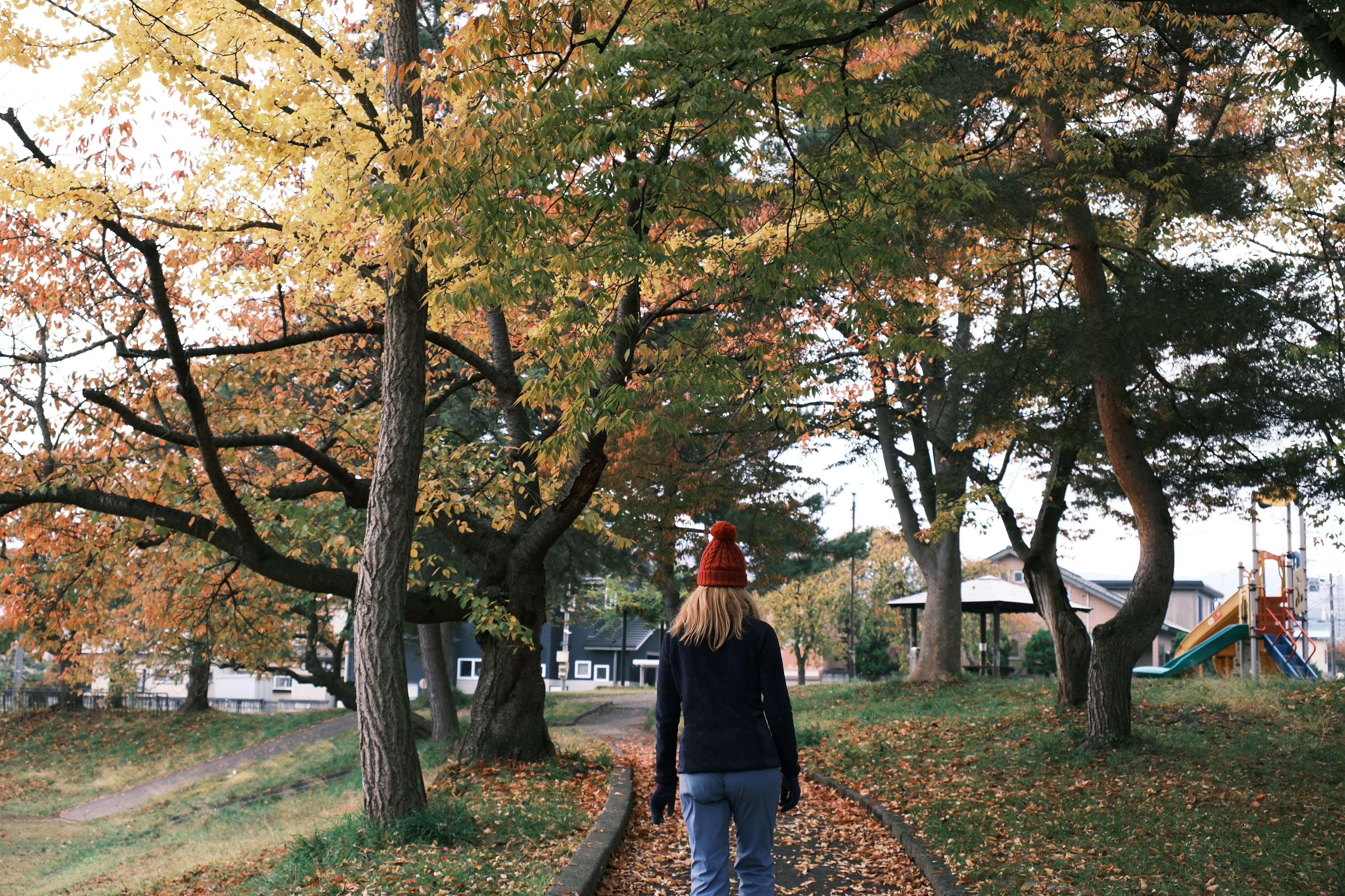 Photo by seiya_maeda