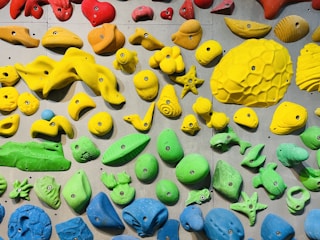 A colorful assortment of climbing holds mounted on a wall, shaped like various animals and objects including sea creatures, plants, and geometric forms. The holds are primarily in bright red, orange, yellow, green, and blue colors.