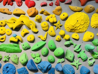 A colorful assortment of climbing holds mounted on a wall, shaped like various animals and objects including sea creatures, plants, and geometric forms. The holds are primarily in bright red, orange, yellow, green, and blue colors.