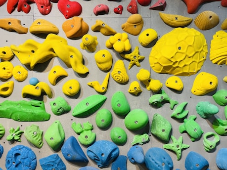 A colorful assortment of climbing holds mounted on a wall, shaped like various animals and objects including sea creatures, plants, and geometric forms. The holds are primarily in bright red, orange, yellow, green, and blue colors.