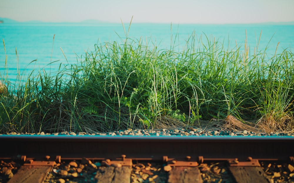 a view of the ocean from a train track