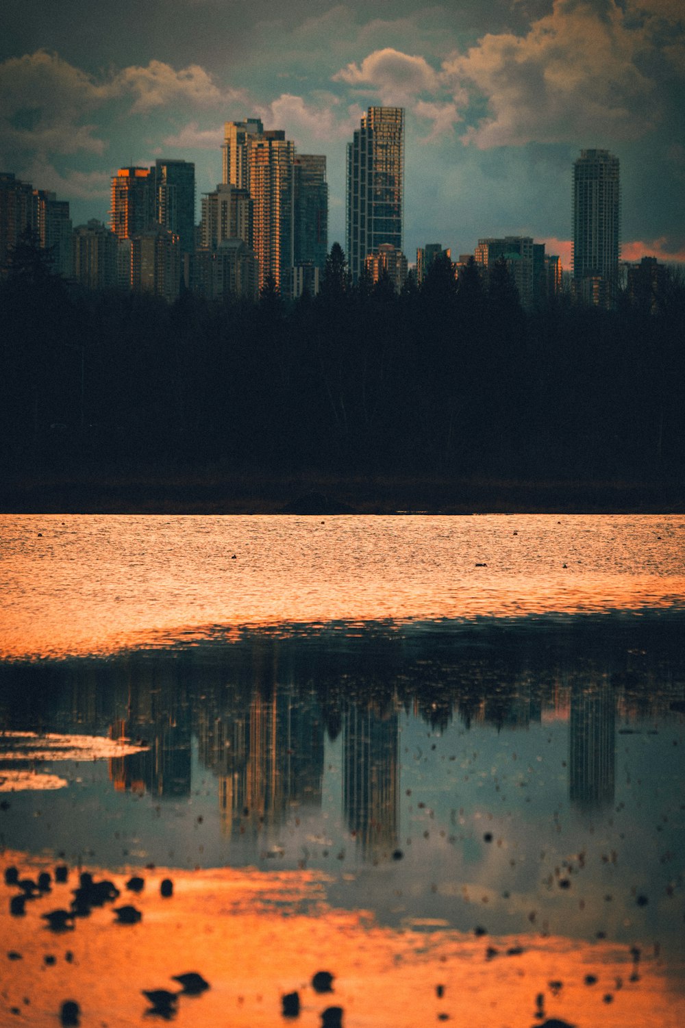 a large body of water with a city in the background