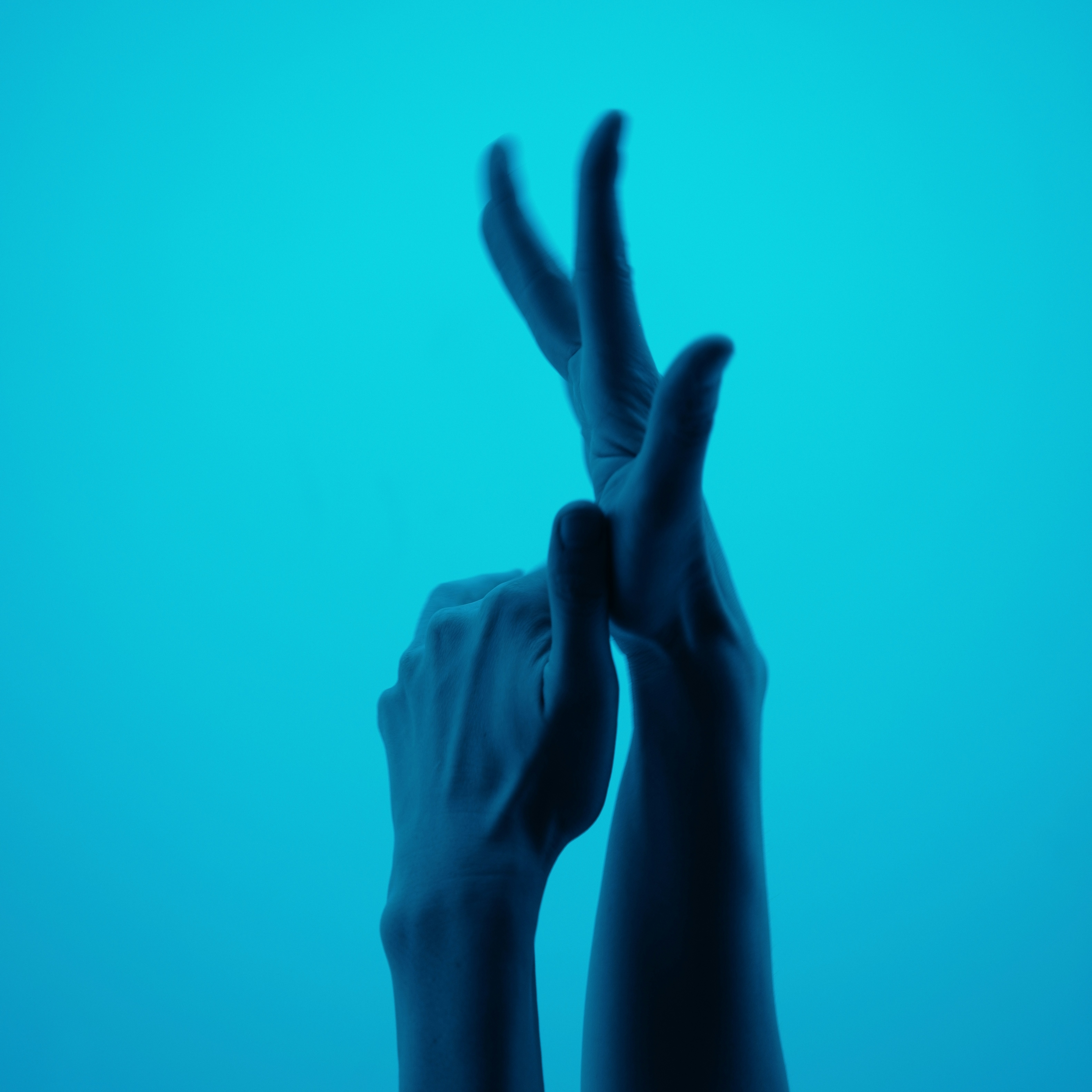 Photo by dynamicwang