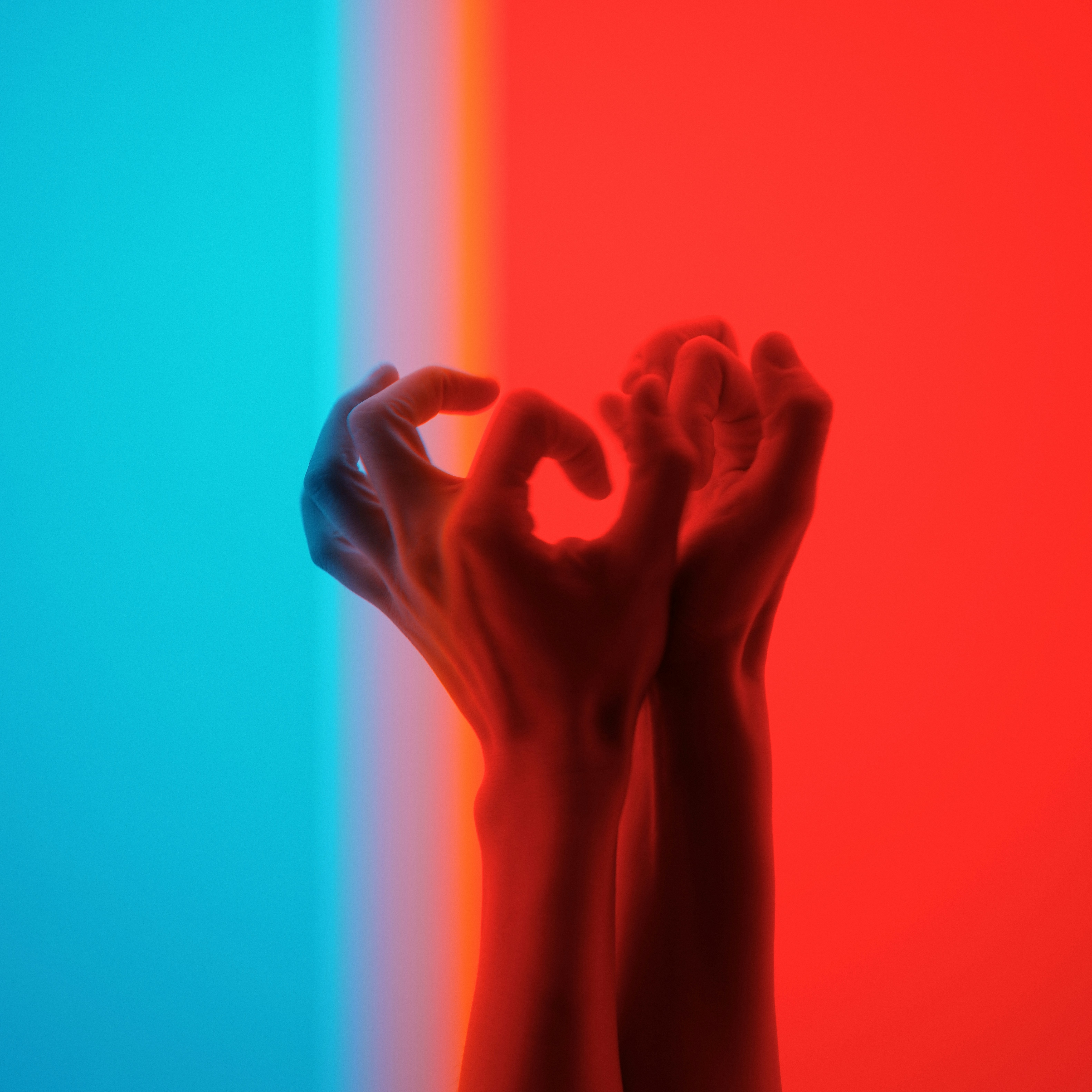 Photo by dynamicwang