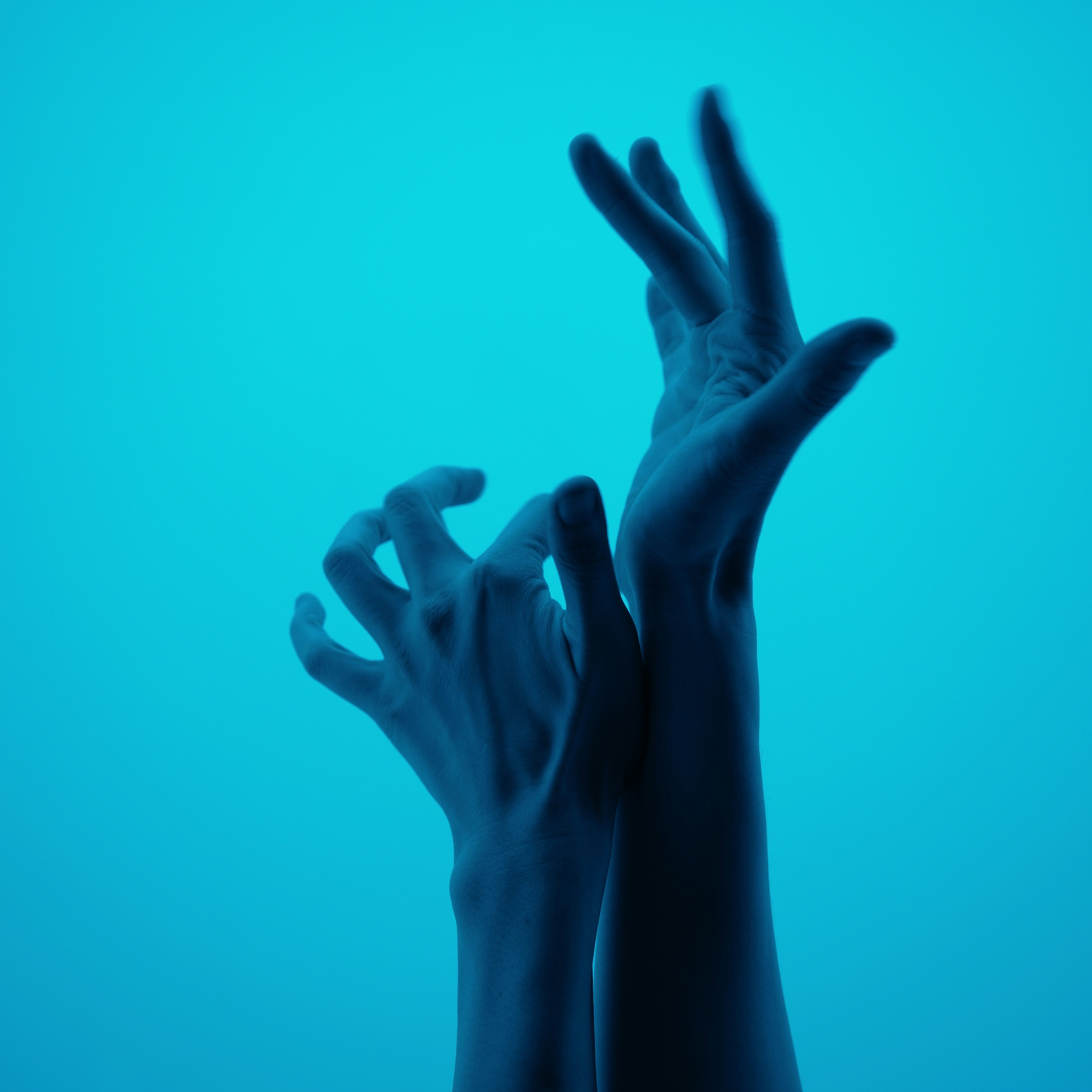 Photo by dynamicwang