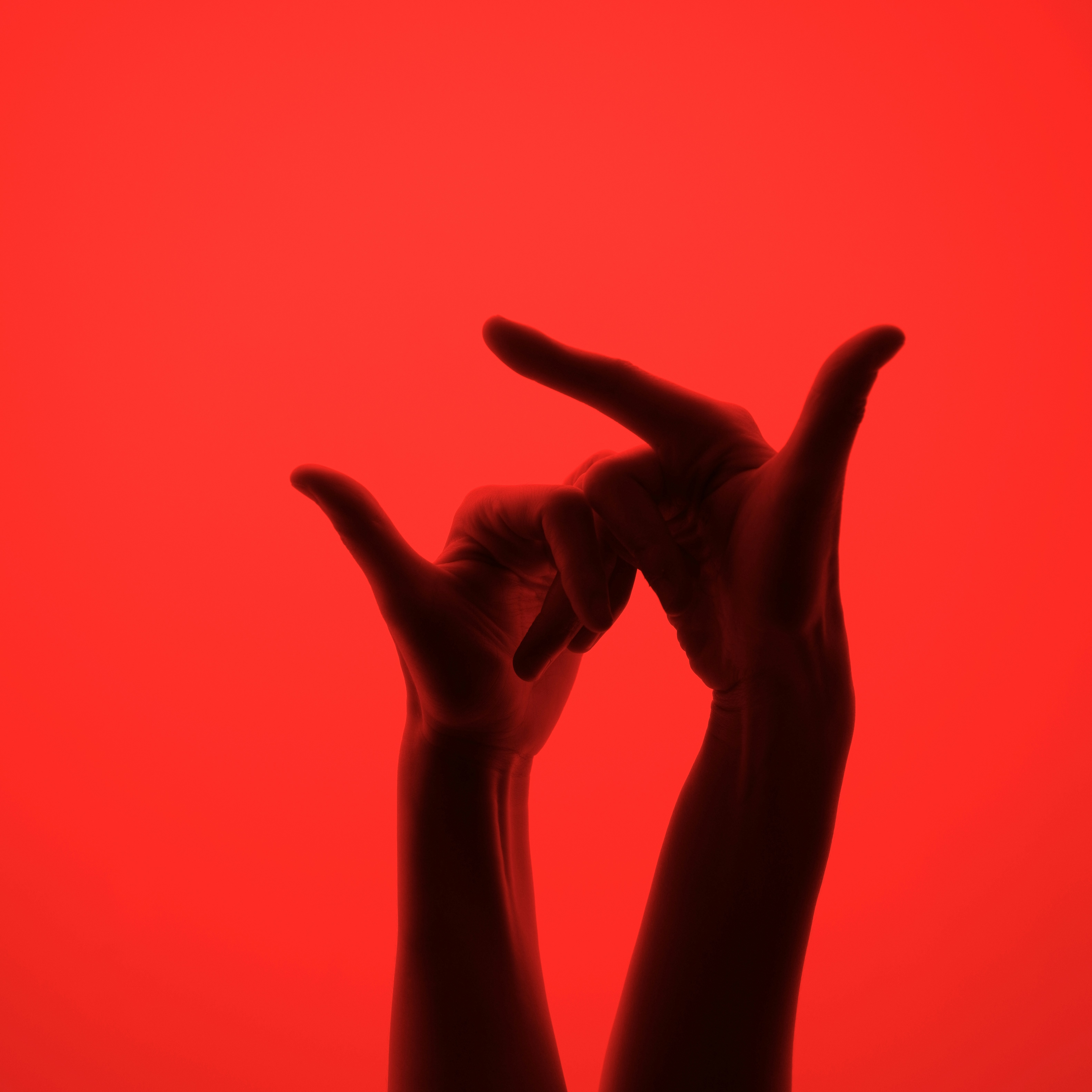 Photo by dynamicwang