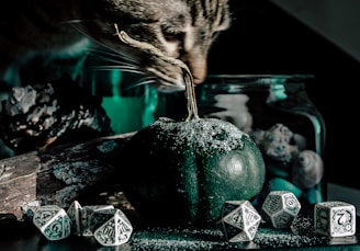 a cat sniffs the top of a green pumpkin