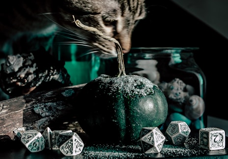 a cat sniffs the top of a green pumpkin