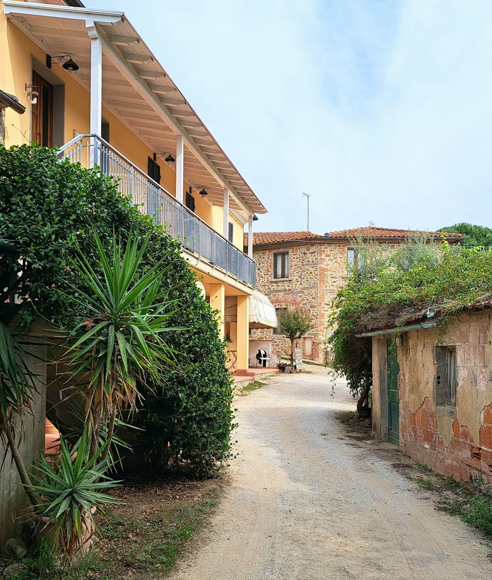 a person walking down a dirt road in front of a building