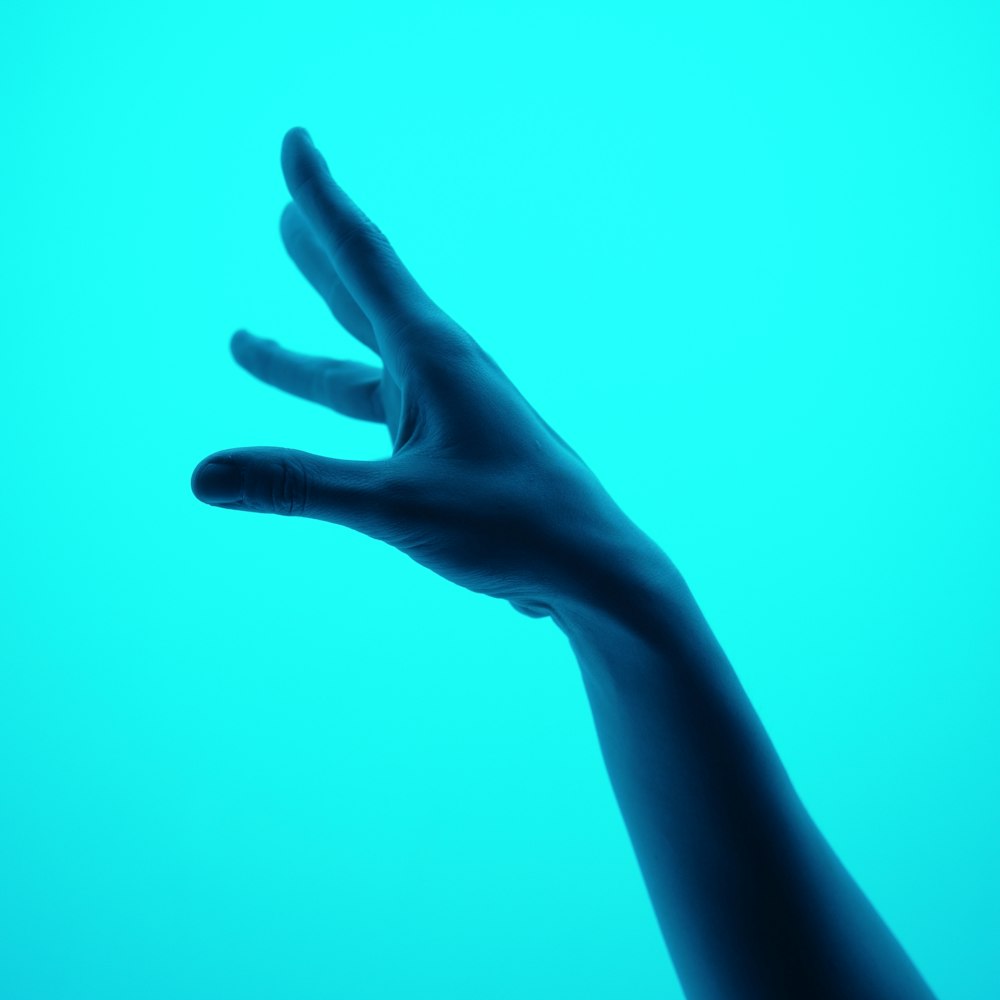a person's hand reaching up into the air