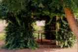 An inviting outdoor space with natural materials and lush greenery.