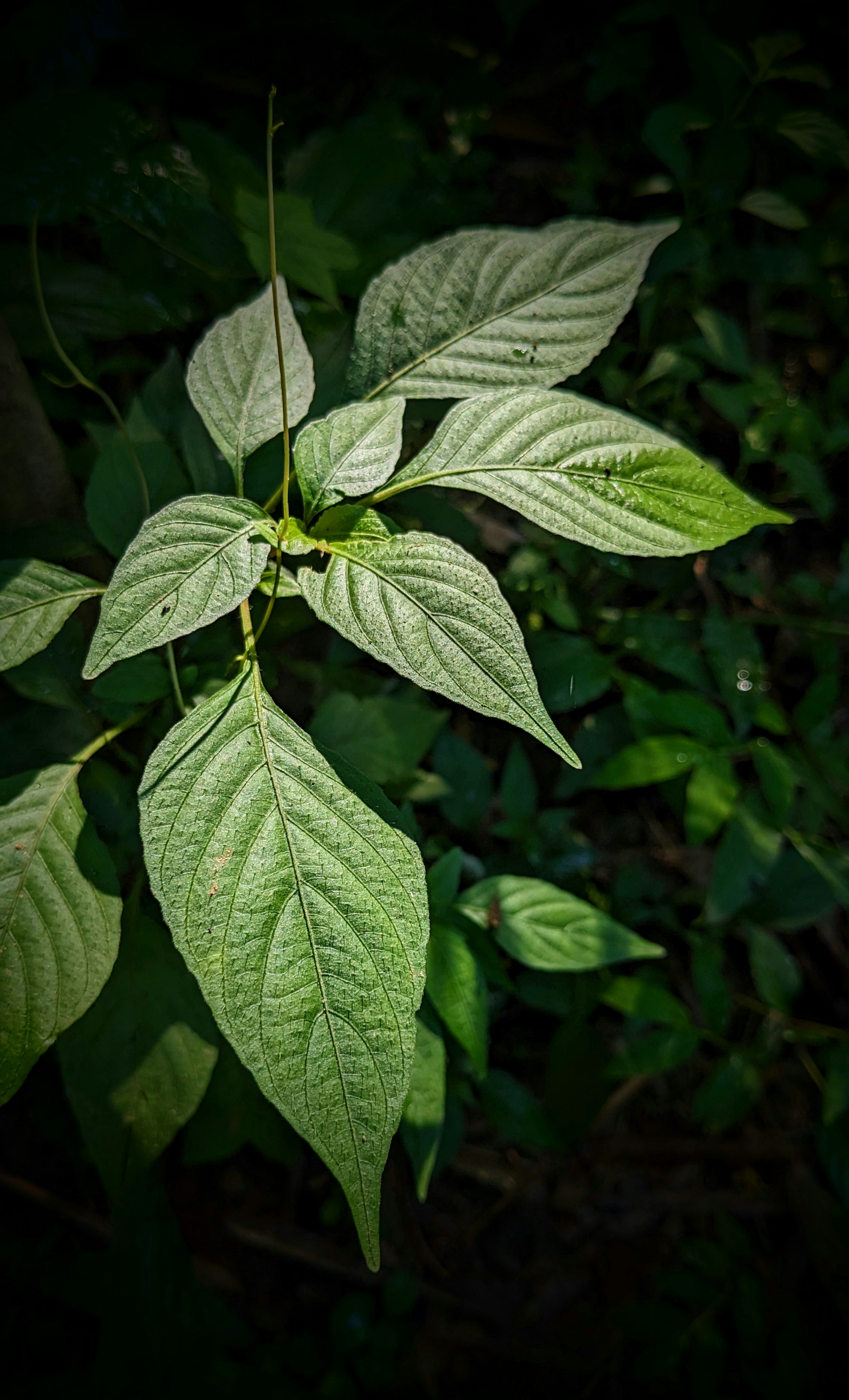 Photo by rishu_bhosale