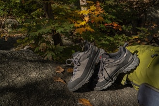 A pair of walking shoes on a scenic trail.