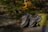 A pair of rugged high-top shoes on a rocky trail in nature.