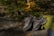 A rugged high-top shoe placed on a rocky trail surrounded by nature.