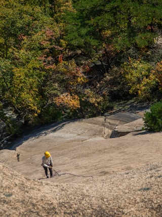 a man standing on top of a large rock next to a forest