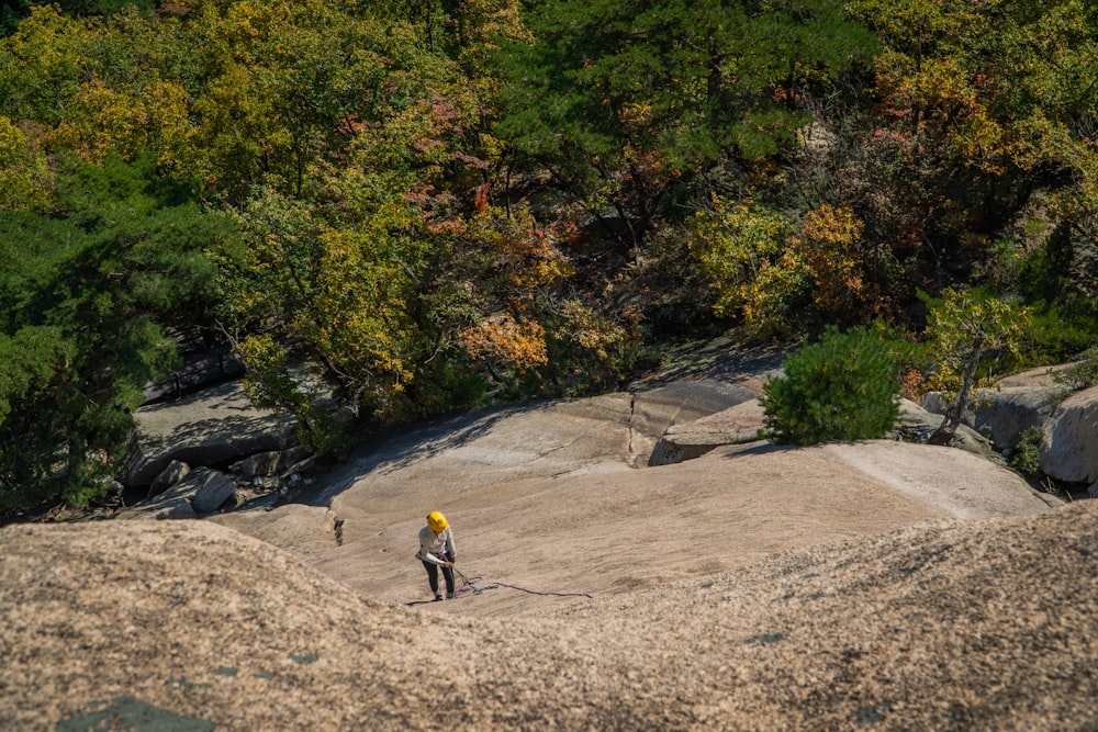 ein Mann, der auf einem großen Felsen neben einem Wald steht