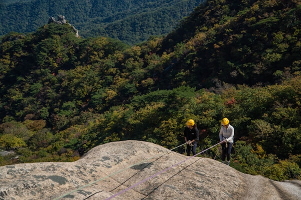 Climbing harness on rock face